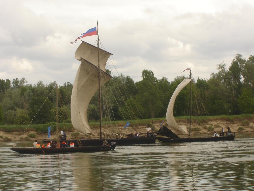Les Bords De Loire Leilighet Veuves Rom bilde