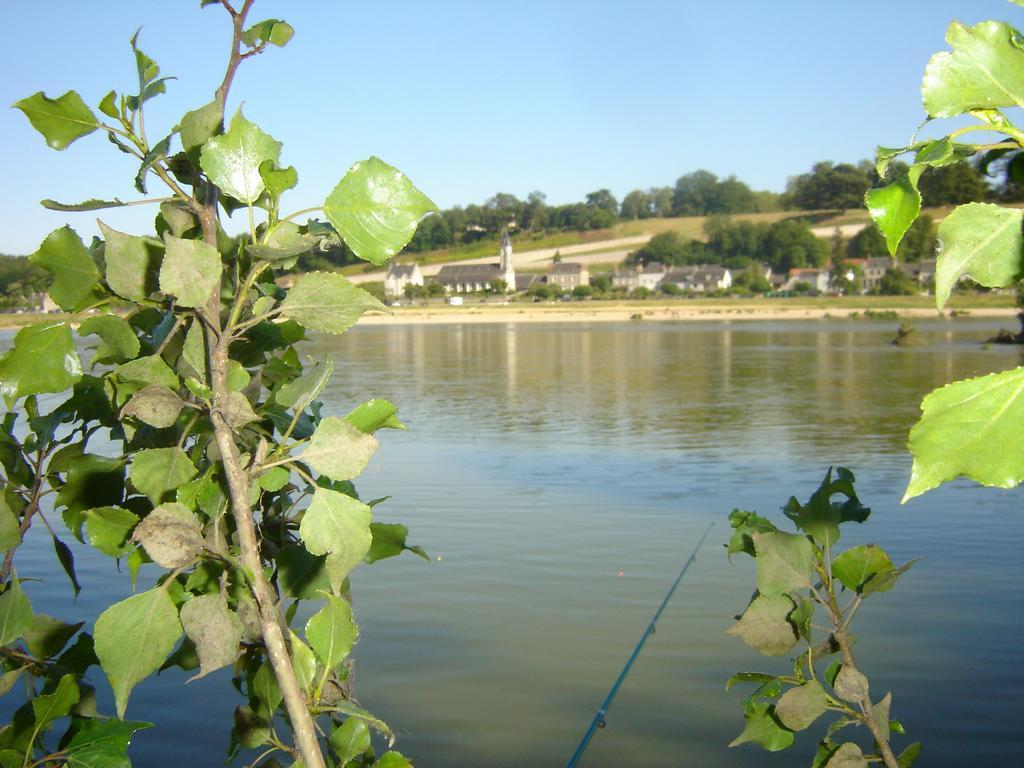 Les Bords De Loire Leilighet Veuves Rom bilde
