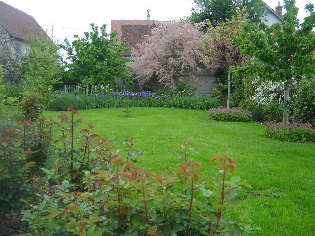 Les Bords De Loire Leilighet Veuves Rom bilde