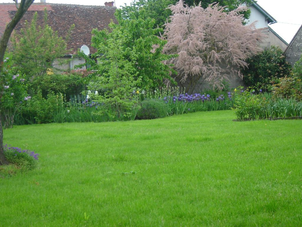 Les Bords De Loire Leilighet Veuves Rom bilde