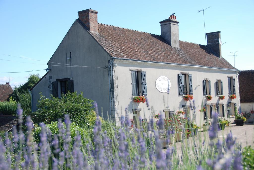 Les Bords De Loire Leilighet Veuves Rom bilde